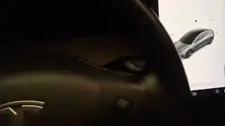 Tesla &ldquo;Fart Mode&rdquo; Turn Signals