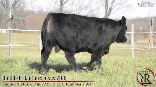 Double R Bar Ranch - Z106