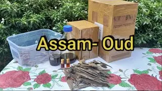 Discover the Finest Oud: Premium Quality Guaranteed!