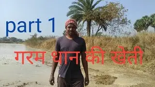 #garam dhan ki kheti/grishmkalin dhaan ki kheti#part 1