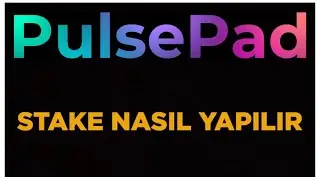 Pulsepad Stake Nasıl Yapılır