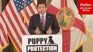 JUST IN: DeSantis Promotes Legislation To Protect Puppies In Florida