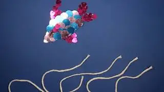 Under the sea-quins