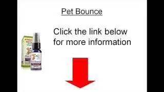 petbounce