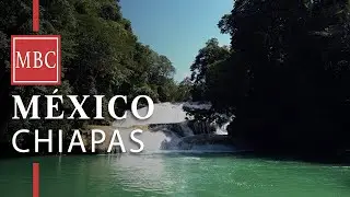 Walking in Roberto Barrios Waterfalls - Chiapas - Mexico [4K]
