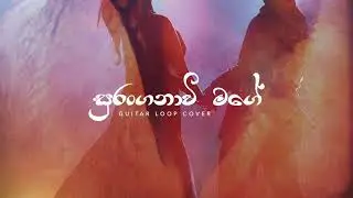 Suranganawee Mage (සුරංගනාවි මගේ) - Guitar Loop Cover - Audio Teaser | Sidath Heenatigala | Siddi