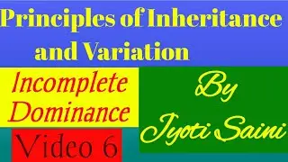 Class 12 PRINCIPLES OF INHERITANCE AND VARIATIONS: Incomplete Dominance  Video  6