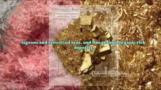 Pyritization in Geology: Formation, Environments & Significance
