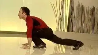 MickeyMize Suryanamaskar - Метаморфизация