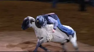 Mutton Bustin&rsquo; Competition | San Antonio Rodeo | Feb. 21, 2025
