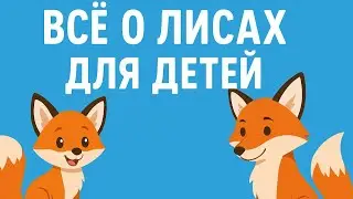 Educational video about foxes for children.