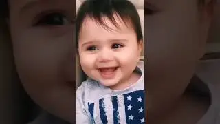 Dubi Dubi dum dum  💞& monkey 🐒 funny #funnyvideos #toucan #monkey #viral #video #funny #cute #shorts