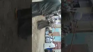 تحطيب عمد ال وساف