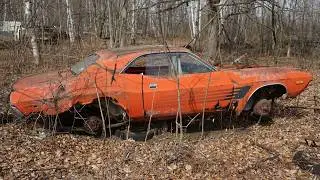 Лес, полный автомобилей MOPAR!