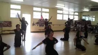 Sphs drill team 2011-2012 small military