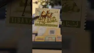 1968 Lebanese Animal Series: Captivating Camel Stamp at 5p | #LebaneseStamps 🐫
