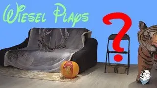 WieselPlays Guess! What will happen?