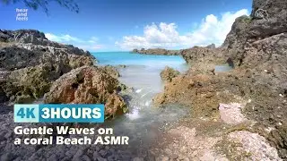 4K | 3 HOURS | Gentle Waves on a coral Beach ASMR 🌊