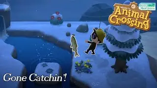 Gone Catchin'!