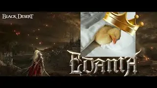 BDO Bangers : Edania edition