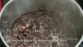 Sous Vide Mastery  Precision Cooking for 2023