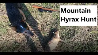 Hunting Eastern Cape South Africa 2023 // Hyrax Hunt in the Karoo Mountains