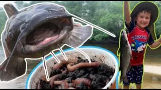 Family Friendly Fishing Trip at an AMAZING Airbnb Cabin on the River!  BIG CATFISH for Kids!