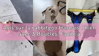 Avis sur la rabbitgoo Harnais Chien avec 3 Boucles, Facile à Mettre et à Enlever, Harnais Anti Tract