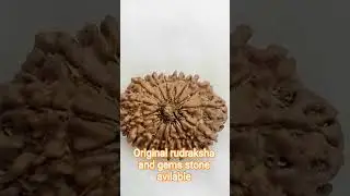 Rakesh gems original rudraksha and gems stone avilable wholesale price contact 9643858949