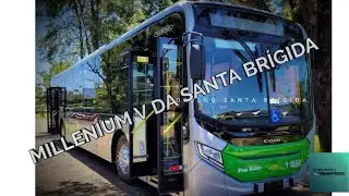 Novo Caio Millenium V da Santa Br&iacute;gida
