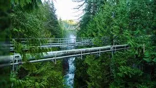 Best places to visit in Vancouver, British Columbia - Lynn Canyon Park