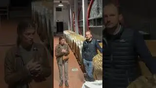 Винодельня Collalto &mdash; сердце Просекко. 