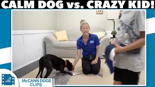 The Secret to Calm Dogs Around Wild Kids