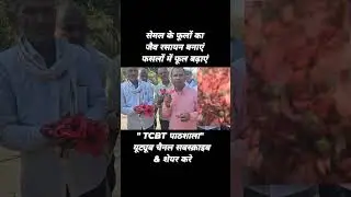 सेमल के फूलों का जैव रसायन बनाएं,फसलों में फूल बढ़ाएं,TCBT पाठशाला यूट्यूब चैनल सबस्क्राइब&शेयर करे