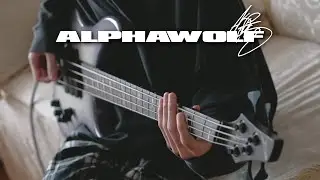 Alpha Wolf - Hotel Underground | Bass Cover | pitchshift test (Drop G to Drop F)