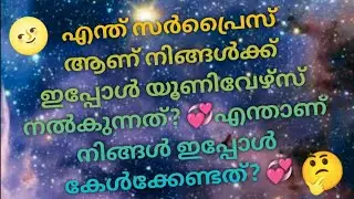 എന്ത് സർപ്രൈസ് ആണ് നിങ്ങൾക് ഇപ്പോൾ യൂണിവേഴ്സ് നൽകുന്നത്? എന്താണ് നിങ്ങൾക് ഇപ്പോൾ കേൾക്കേണ്ടത്?