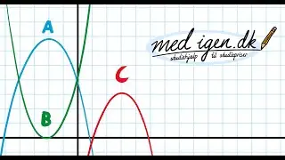 Mat B skriftlig eksamen - Hvilken graf er den rigtige?