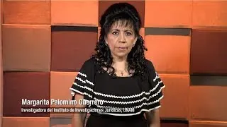Partida Secreta: mitos y realidades, IIJ-UNAM