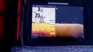 Helix 5 Di на воде