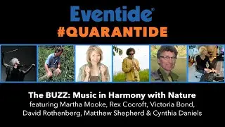 The BUZZ: Music in Harmony with Nature &ndash; Live on #Quarantide