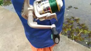 amazon New Fishing rods online