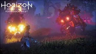 Day 866 Of Hunting Machines Everyday Until Horizon 3 Is Released