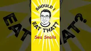 Sea Snails? | Virgin Bites Series #food #foodreview #seafood #mukbang