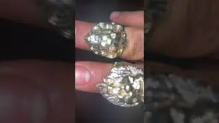Custom Made Diamond Lion Head 14k Gold Rings