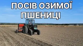Посів озимої пшениці саморобною сівалкою, трактор ЮМЗ,  2025