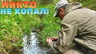 НАШЁЛ В ЛЕСУ АРТЕФАКТ, ВОТ ТАК ПЕРСТАК!