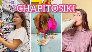 НАШИ САМЫЕ ПОПУЛЯРНЫЕ ВИДЕО II CHAPITOSIKI🐶❤