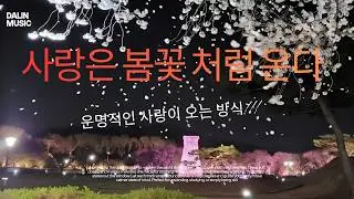 사랑은 봄꽃 처럼 온다