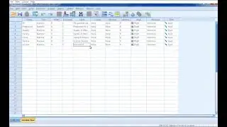 IBM SPSS  Data Entry