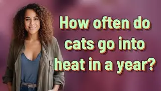 How often do cats go into heat in a year?